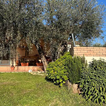 Holiday home La Tana Dei Ricci