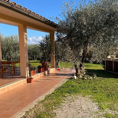 La Tana Dei Ricci