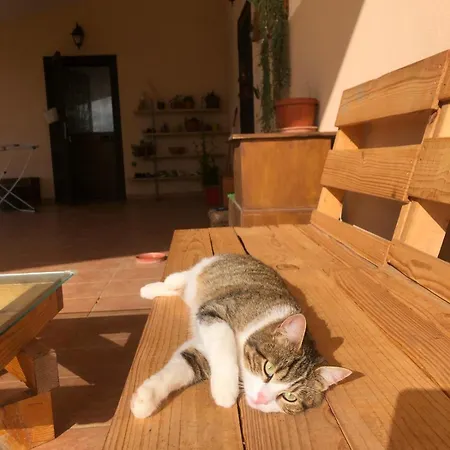 La Tana Dei Ricci Holiday home Fiano Romano