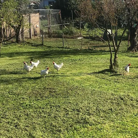 Сasa de vacaciones La Tana Dei Ricci